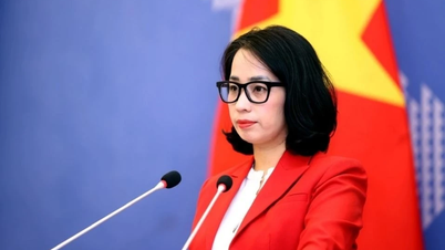 Vietnam se pronuncia sobre la prohibición de pesca de China en el Mar del Este
