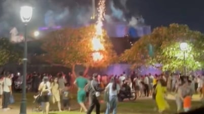 الجمهور يهرب من نيران المدافع: طلب التعلم من التجربة