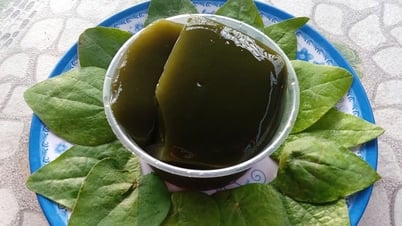 Món ngon mùa hè: Thanh mát thạch sương sâm