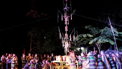 Célébration des récoltes de l'ethnie M'nong dans le district de Tuy Duc