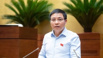 開発を促進するために 5 つの主要な政策グループを制度化します...