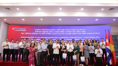 Förderung der Energiekooperation zwischen Vietnam und Kuba