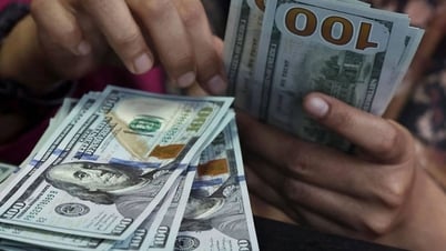 Tipo de cambio del dólar hoy (15 de mayo): El dólar se recupera ligeramente - Periódico y radio y televisión Lang Son