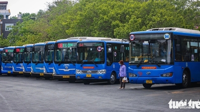 Les frères du groupe Tan Thanh Do veulent simultanément « abandonner » Saigon Bus
