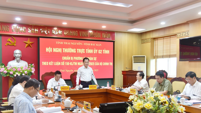 Thường trực Tỉnh ủy Bắc Kạn – Thái Nguyên tổ chức Hội nghị chuẩn bị phương án nhân sự