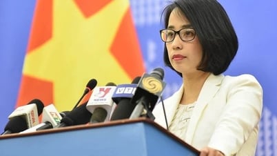 Ministry of Foreign Affairs updates the status of Vietnam - US trade negotiations