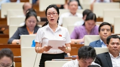 "Bịt lỗ hổng pháp lý", không để quảng cáo sai sự thật