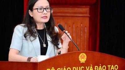 Reasons for proposing to abolish preschool and general school councils