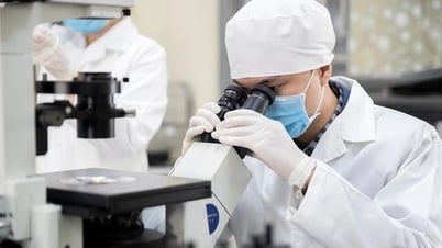 Năm 2024 ĐH Quốc gia Hà Nội công bố hơn 2.000 bài báo quốc tế, tăng 17%
