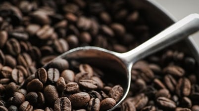 Cà phê xuất khẩu tăng giá ở tất cả các khu vực, ngoại trừ Nam Mỹ