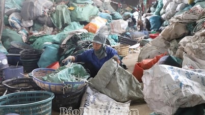 폐기물 재활용 마을의 오염 처리: 어렵지만 반드시 해야 합니다