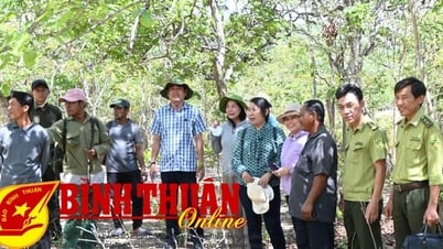 สำรวจการปฏิบัติตามมติ 18 ในจังหวัดทุยฟอง