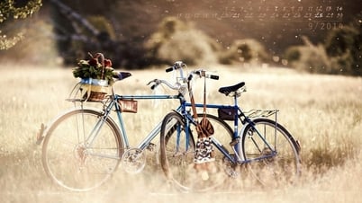 The blue bike