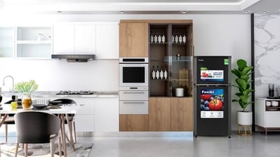 Optimisez les coûts d'exploitation des appartements en location avec les réfrigérateurs Funiki