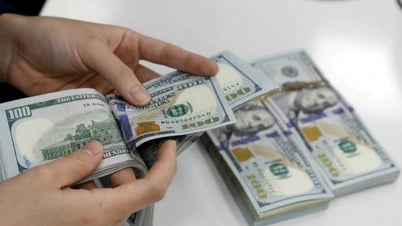 Tỷ giá ngoại tệ ngày 15/5: USD tăng mạnh