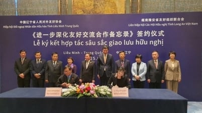 ロンアン（ベトナム）と遼寧（中国）は経済連携と人的交流を促進する