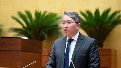 Văn bản quy phạm pháp luật cấp huyện có hiệu lực tối đa đến ngày 1-3-2027