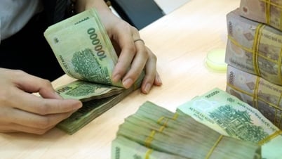 Otra acción cotiza a 700 VND pero con dividendo 4 veces mayor