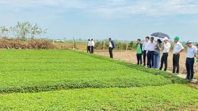 ធានាបាននូវការងារផ្សព្វផ្សាយប្រកបដោយប្រសិទ្ធភាព