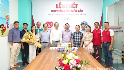 Lof International Milk (IDP) тратит 144 млрд донгов на покупку дополнительных 34% капитала компании по разведению крупного рогатого скота Ho Toan