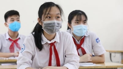 지원자는 하노이의 10학년 공립학교 입학 원칙을 숙지해야 합니다.