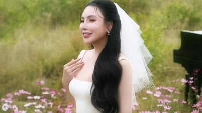 Đường tình kín tiếng của Hồ Quỳnh Hương trước khi kết hôn ở tuổi 45