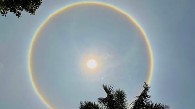 ¿Es anormal que los halos solares aparezcan continuamente?