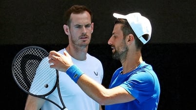 Djokovic - Murray: De archirrivales a una fugaz relación profesor-alumno