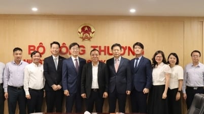 Thứ trưởng Nguyễn Hoàng Long làm việc với Hanwha Energy về dự án điện khí LNG