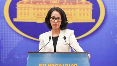 Việt Nam đã đưa hơn 450 công dân từ Myanmar về nước