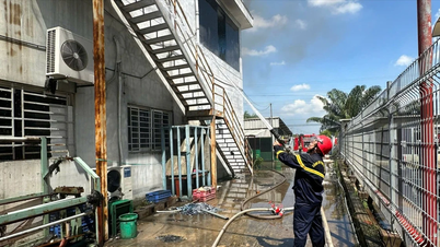 ប៊ិញឌឿង៖ ភ្លើងបានពន្លត់នៅសួនឧស្សាហកម្ម Song Than 3