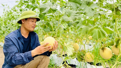 Certification VietGAP : « rampe de lancement » pour la création de produits agricoles propres
