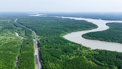 Vingroup schickte dem Volkskomitee von Ho-Chi-Minh-Stadt ein Dokument: Die Eisenbahn nach Can Gio wird mit privatem Kapital gebaut.