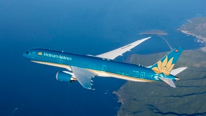 Aktionäre von Vietnam Airlines genehmigen Plan zur Erhöhung des Charterkapitals und zum Kauf von Flugzeugen