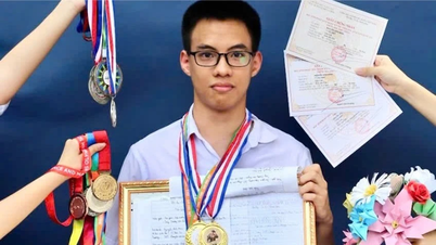 Lao Cai: 1 Student hat es in das nationale Finale des VOAI 2025-Wettbewerbs für künstliche Intelligenz geschafft