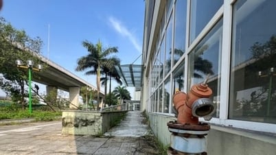Hướng dẫn bàn giao, xử lý tài sản công khi sắp xếp, tổ chức lại đơn vị hành chính