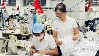 Hung Ha: Tomar la industria como fuerza impulsora para el avance