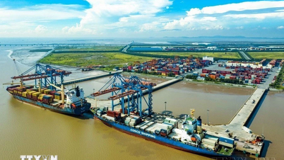 Argentine media praises Vietnam's effective economy and diplomacy