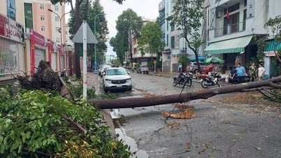 Chủ động ứng phó thiên tai, bảo đảm an toàn tính mạng con người và tài sản