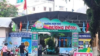Giáo viên đánh học sinh ở Phú Quốc: Kỷ luật hiệu trưởng và nhiều giáo viên
