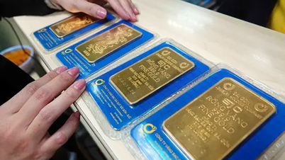 Цена на золото сегодня, 15 мая: по капле золото SJC на 19 миллионов донгов дороже мирового