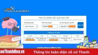 Ưu điểm khi tra điểm VnEdu tại vneduvntracuudiem.com cho học sinh và phụ huynh