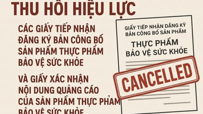 [영상] 건강식품 등록증 일련의 취소