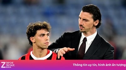 João Félix part, Conceiçao est sur le point d'être licencié