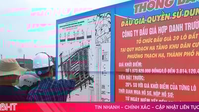 TP Hà Tĩnh đấu giá nhiều lô đất "khủng", có lô vượt khởi điểm hơn 5,5 tỷ đồng