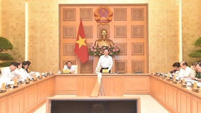 Tổ chức Triển lãm thành tựu kinh tế-xã hội nhân dịp kỷ niệm 80 năm Ngày Quốc khánh với chất lượng tốt nhất