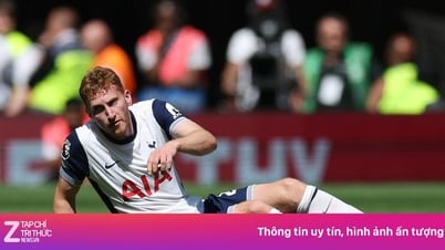 Состав «Тоттенхэма» разгромлен перед финалом с «МЮ»