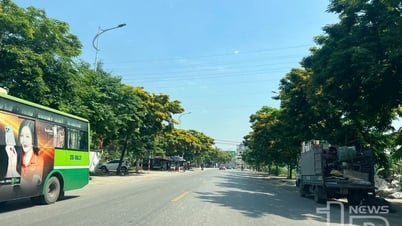 Tăng mật độ cây xanh cho thành phố công nghiệp