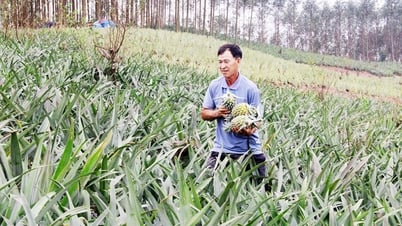 Phát huy hiệu quả hoạt động nghiên cứu khoa học