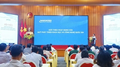 Improving the operational efficiency of the National Science and Technology Development Fund